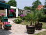 Palmengarten